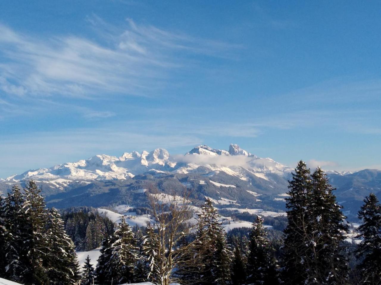 Apart- Und Wellnesshotel Dachsteinresort Russbach am Pass Gschütt Eksteriør bilde